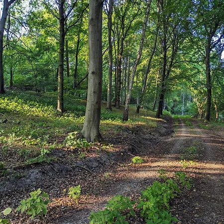 Gemuetliche Bauernkate Fuer 4 Mit Kachelofen Tatil Evi *