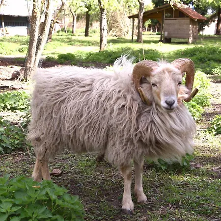 Gemuetliche Bauernkate Fuer 4 Mit Kachelofen Lelkendorf