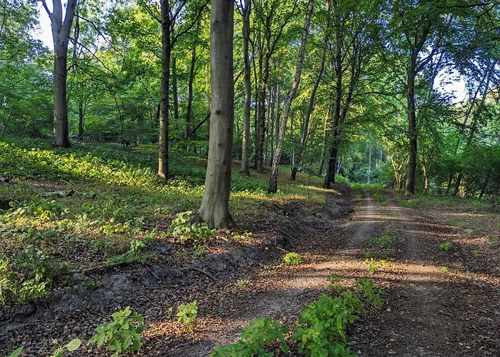 Gemuetliche Bauernkate Fuer 4 Mit Kachelofen Casa de Férias *